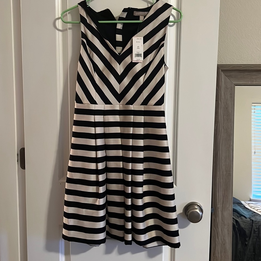 Banana Republic Black and White Striped Dress with Pockets